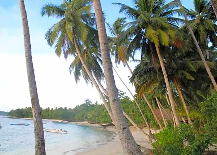 Nyang Ebay Surf Camp Siberut E"Bay 1 Minute Walking Beng-Beng 5 Minute Walking,Pitstop 10 Minute Walking Nipussy 1 Hour Walking Short Walking Only Minute Distances From Our Place
