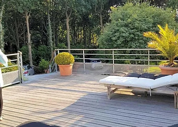La Canopee Des Pins
