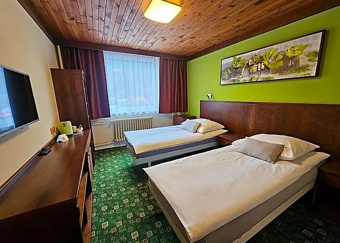 Hotel Tetrevi Boudy