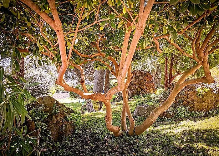 Santoro Country House Boutique Etna Retreat