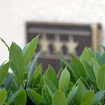 Akzent Hotel Residence Bautzen