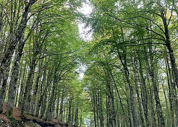 Il Duca Degli Abruzzi