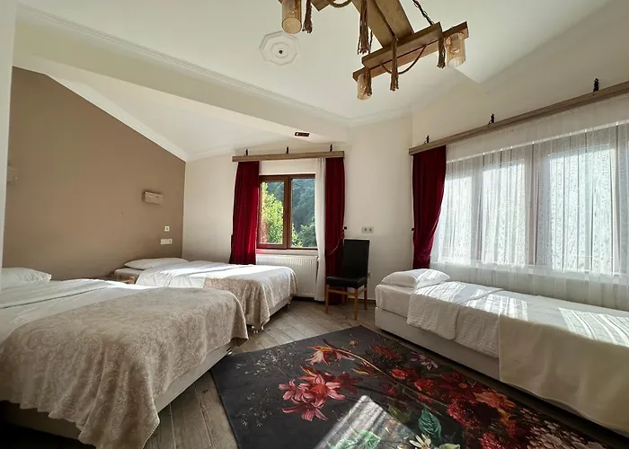 Mersu Ala Konak Otel Masukiye Sapanca