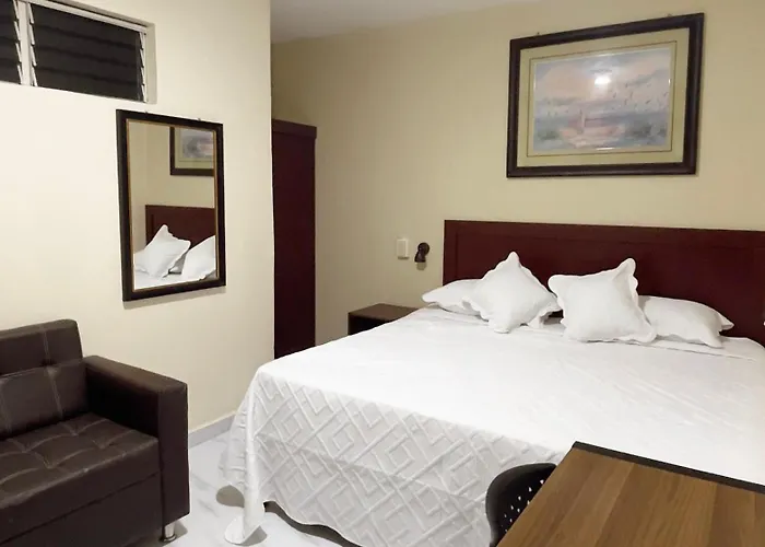 Hotel King Del Centro San Miguel