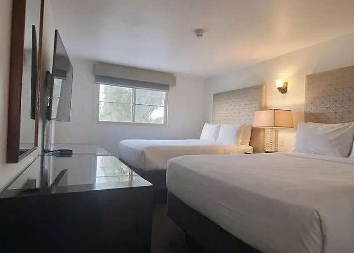 Hotel Palmas Quintero