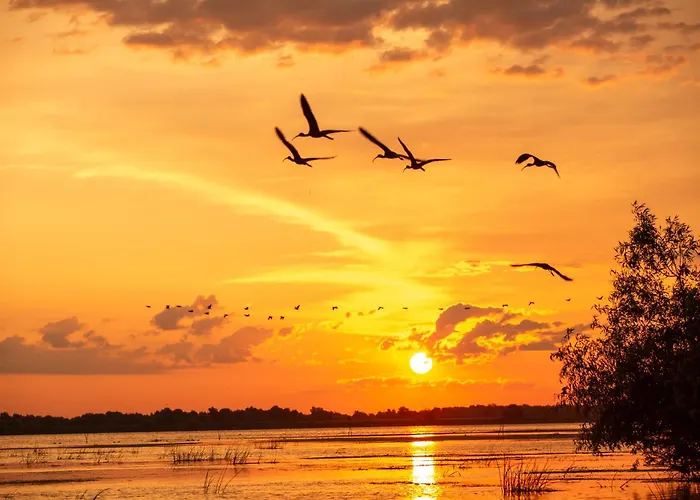 Porto Franco Sulina