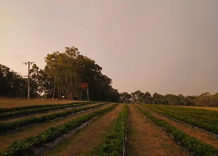 Berry World