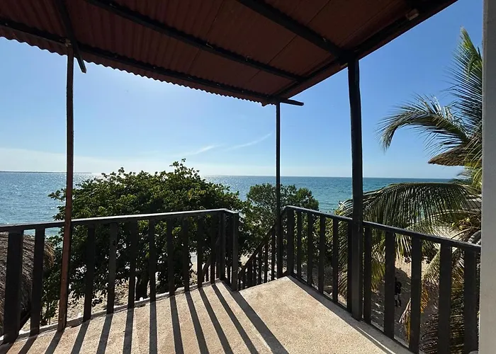 La Casa De La Tortuga