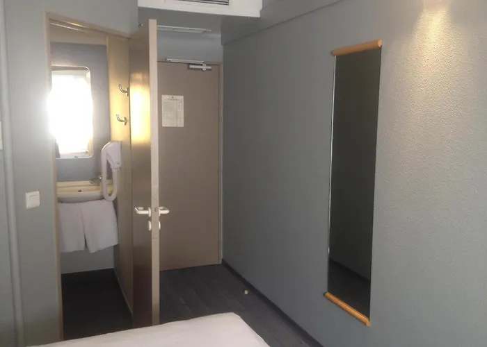 Ibis Orange Sud