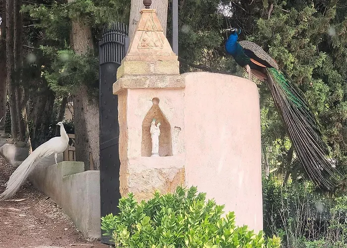 Candalù - Villa Giardinata