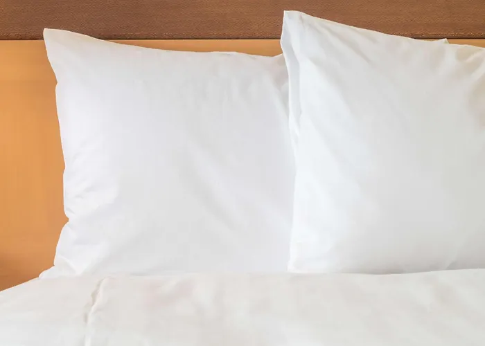 Holiday Inn Express Saltillo Zona Aeropuerto By Ihg