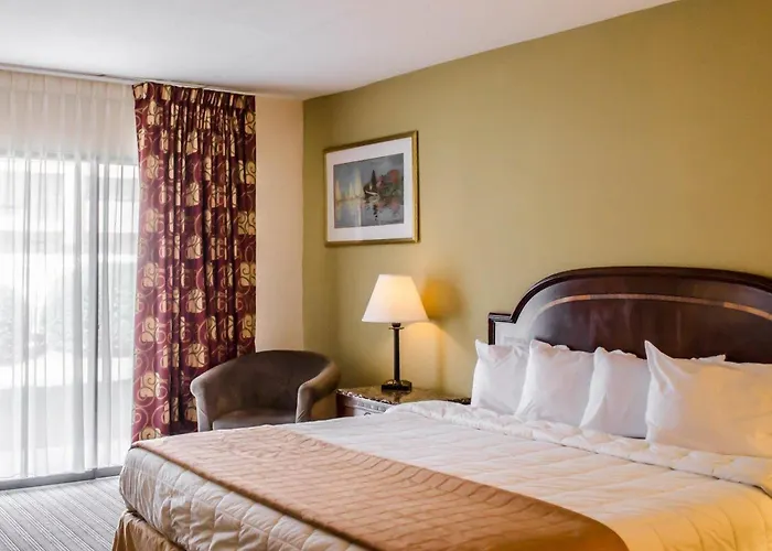 Quality Inn & Suites Pensacola Bayview