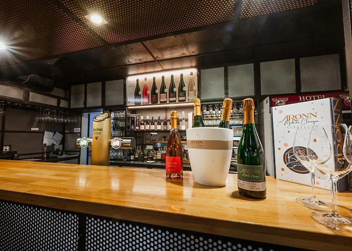 Hotel Vinar - Resort Hotel Kurdejov & Art Wine Hall