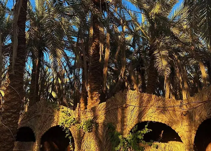 Arkan Siwa أركان سيوة