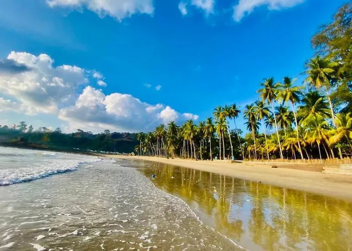 The Mangrove Cove "200Mtrs From Beach"