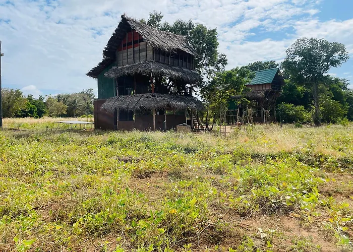 The Secret Chalet At Chena