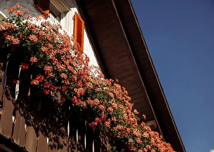 Gaestehaus Wald Und See