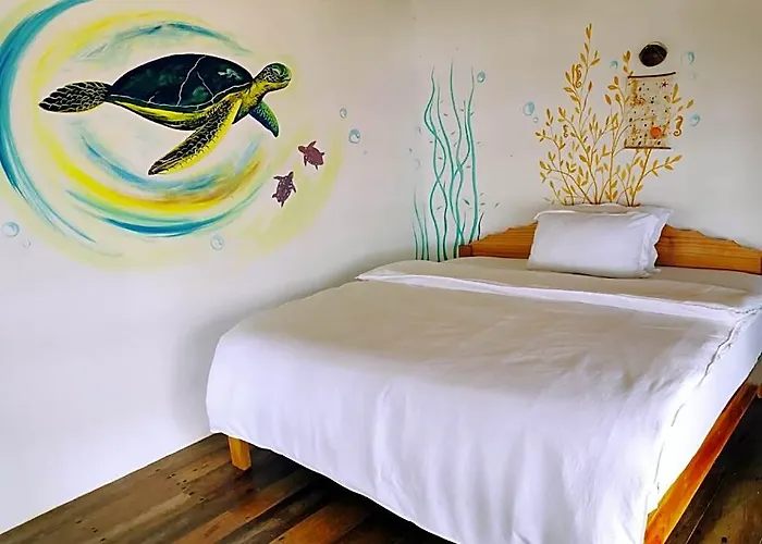 Kokomo Dive Resort Accommodation Hotel