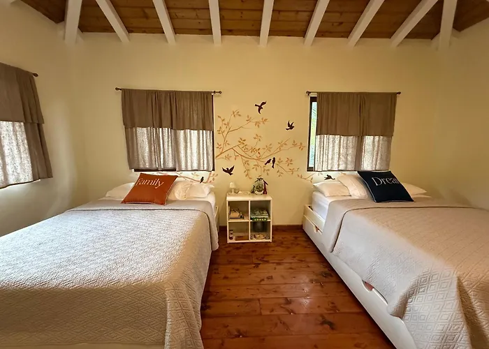 La Casa de Pucha Surf History&Tropical Stay