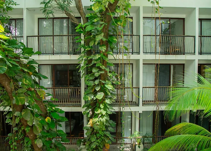 Living Bloom Concept Hotel Tulum (Adults Only)