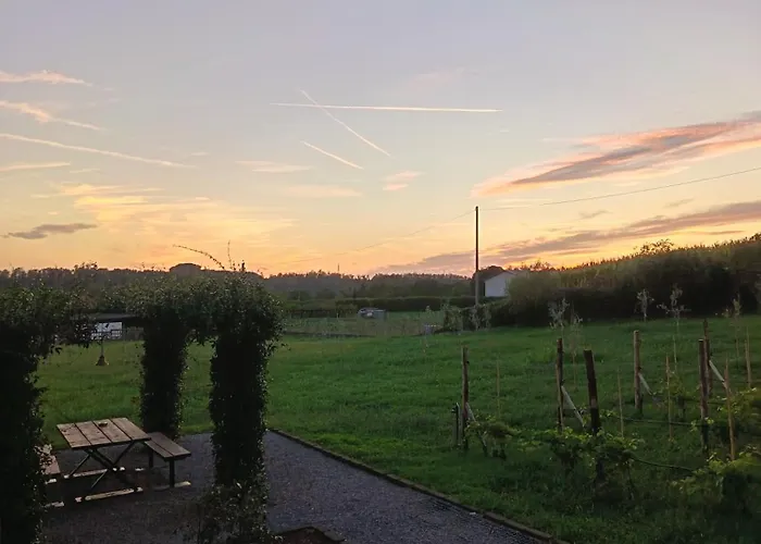 Le vigne sull’Adda