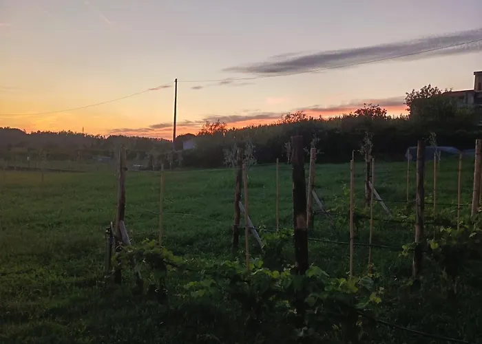 Le vigne sull’Adda