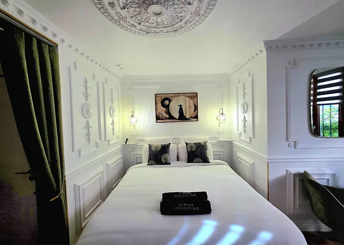 La Belle Endormie B&B French Guest House