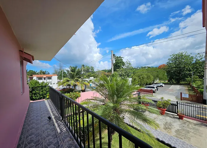 Selva Boutique Hotel - Luquillo Oceanfront Retreat - Adults Only