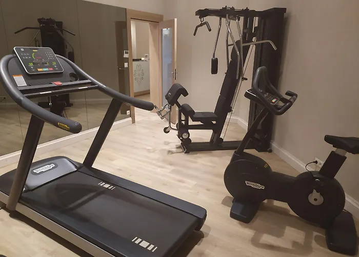 Aries Hotel & Spa Wisla