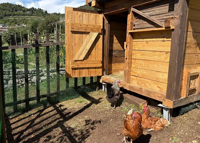B&B Marina “La Casa in Collina”