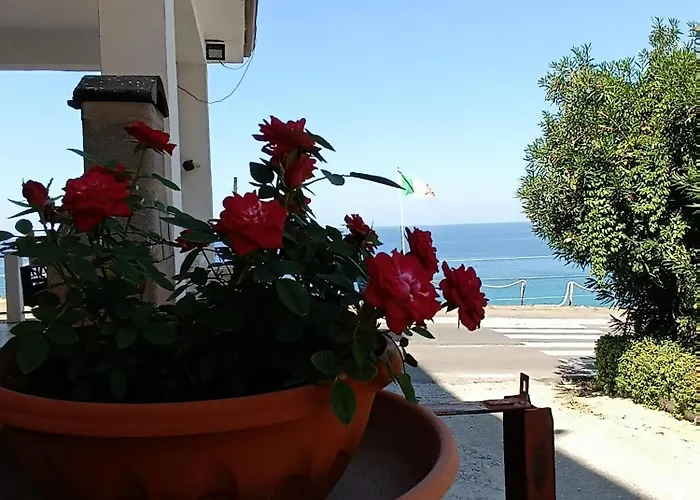 B&B Domus Piedigrotta