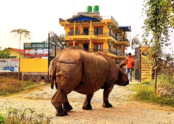 Hotel National Park Sauraha- Homely Stay And Peaceful Location With Jungle Safari Arrangements
