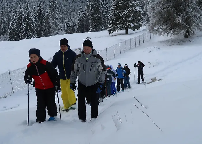 Residence Lagorai - Fiemme Holidays