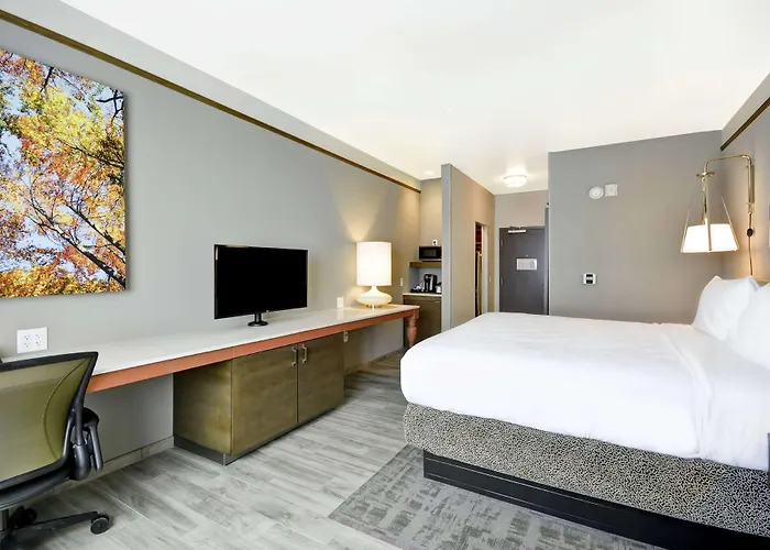 Hilton Garden Inn By Hilton Phoenix/Tempe Asu Area, Az