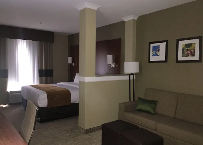 Comfort Suites - University