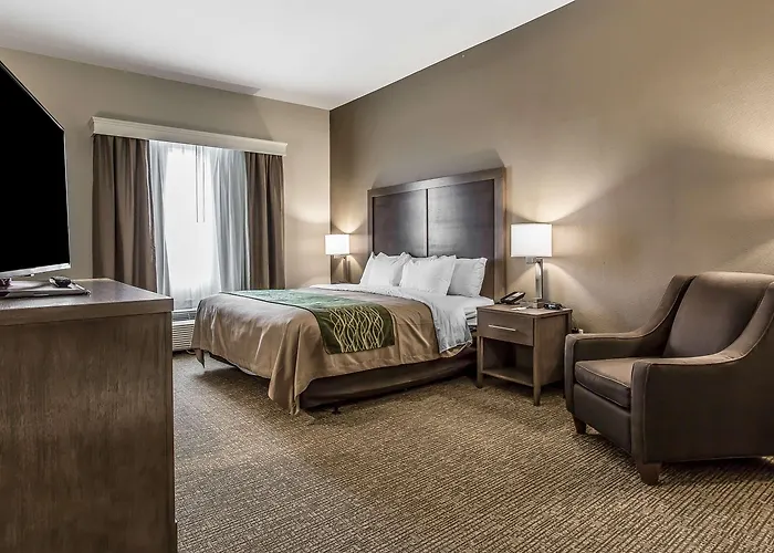 Comfort Inn & Suites Snyder