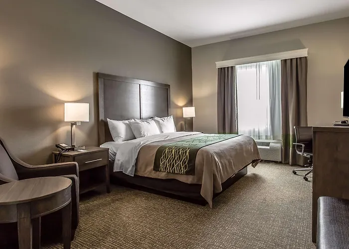 Comfort Inn & Suites Snyder