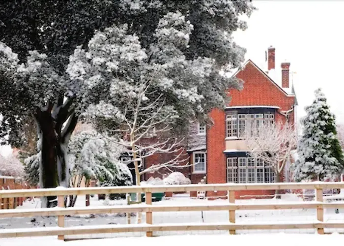 The Bell Hotel