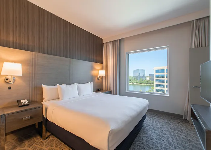 Embassy Suites By Hilton The Woodlands