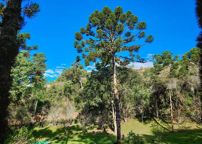 Hotel Fazenda Golden Park Campos Do Jordao