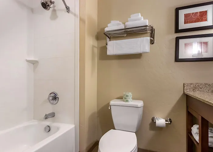 Comfort Suites Airport-University
