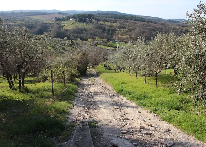 Le Terrazze Del Chianti