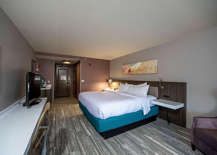 Hilton Garden Inn Rapid City