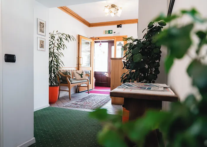 Hotel Oasi