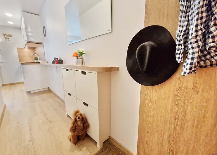 Home Apart-Hotel Vilnius