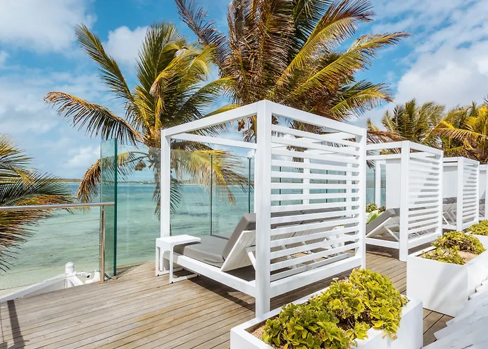 Tropical Attitude (Adults Only)