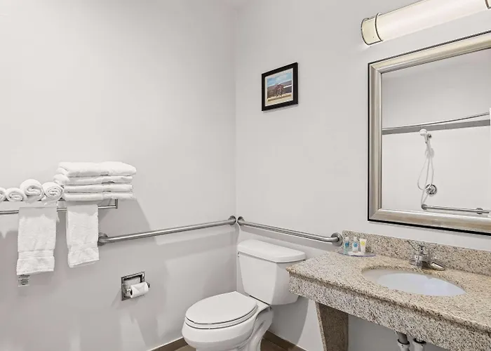 Comfort Suites Lindale - Tyler North