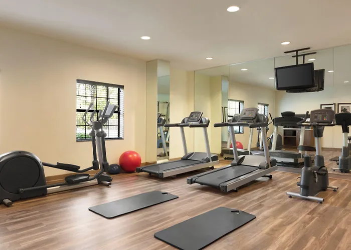 Staybridge Suites Tampa East- Brandon By Ihg