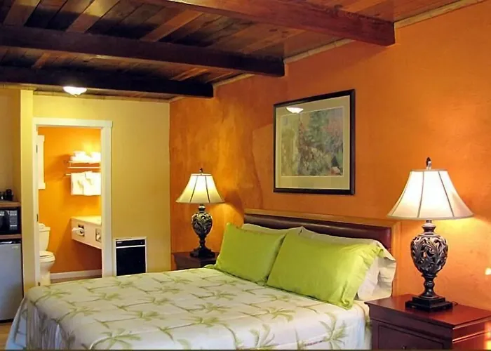 Coast Inn And Spa