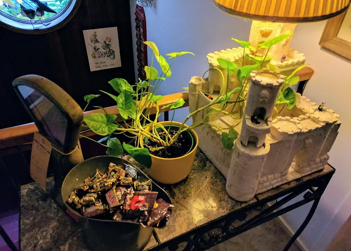 Ann Arbor Bed And Breakfast